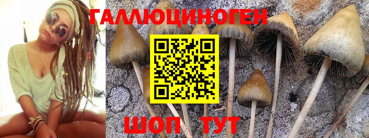 Галлюциногенные грибы ЛСД Видное